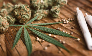 cannabis reform